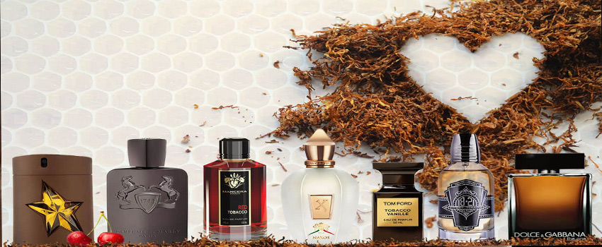 عطر را روی کجا بزنیم که بوی سیگار کمتر بماند؟