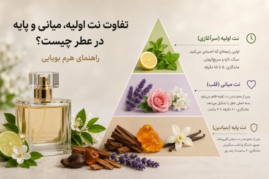 تفاوت نت اولیه، میانی و پایه در عطر چیست؟ (راهنمای هرم بویایی)